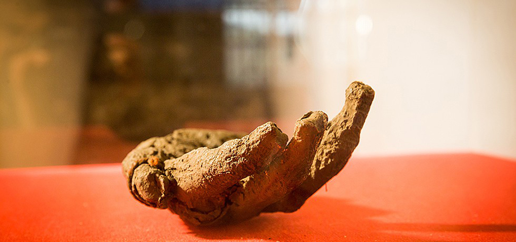 Schreibtreff - Geschichten über die Schwarze Hand